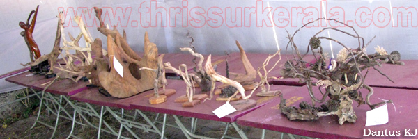 flower-show-2011 (28)